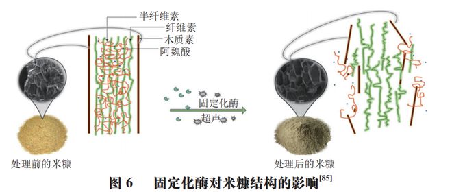《食品科学》非热加工专栏：江苏大学邹小波、石吉勇教授等：米糠非热稳定化处理技术研究进展(图8)