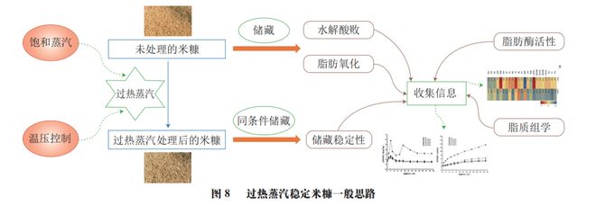 《食品科学》非热加工专栏：江苏大学邹小波、石吉勇教授等：米糠非热稳定化处理技术研究进展(图10)