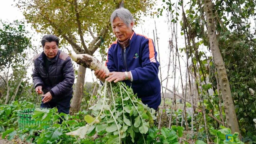 闵行这颗浦江明珠您了解多少？(图3)
