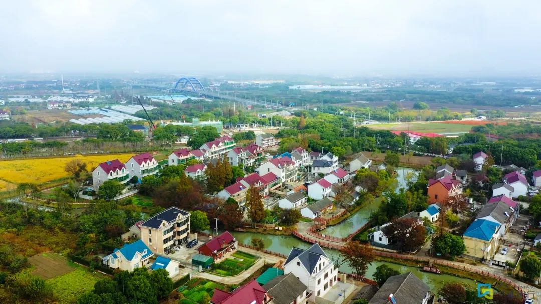 闵行这颗浦江明珠您了解多少？(图2)