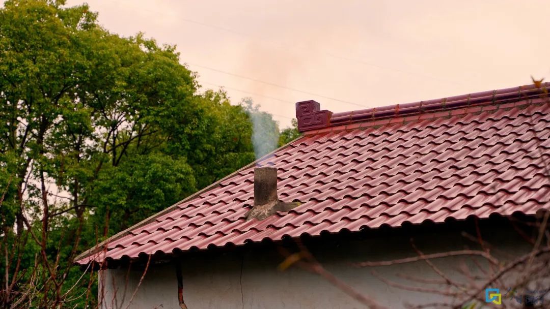 闵行这颗浦江明珠您了解多少？(图5)