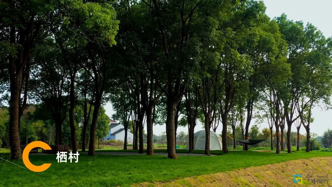 闵行这颗浦江明珠您了解多少？(图8)