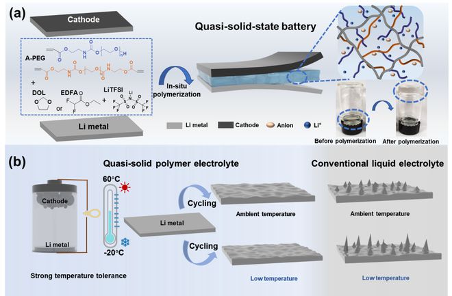 北化曹鹏飞南开杨化滨EnSM：适用于宽温域范围锂金属电池的原位准固态聚合物电解质(图1)