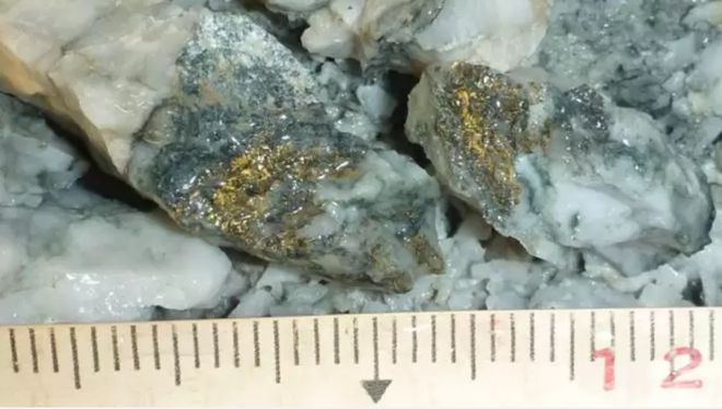 新西兰小镇发现稀有金属小镇火了!房价5年翻一番全新西兰排第一(图6)