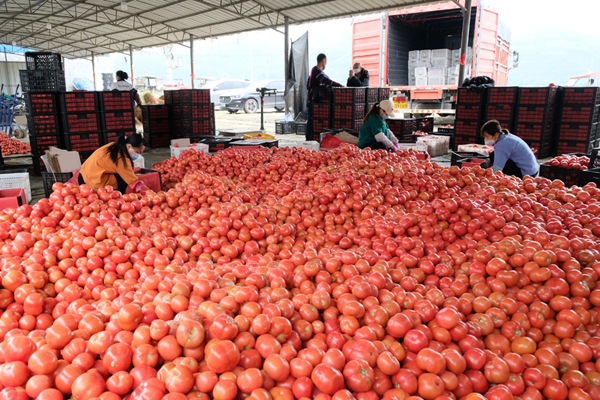 一季度百色市经济运行开局良好(图1)