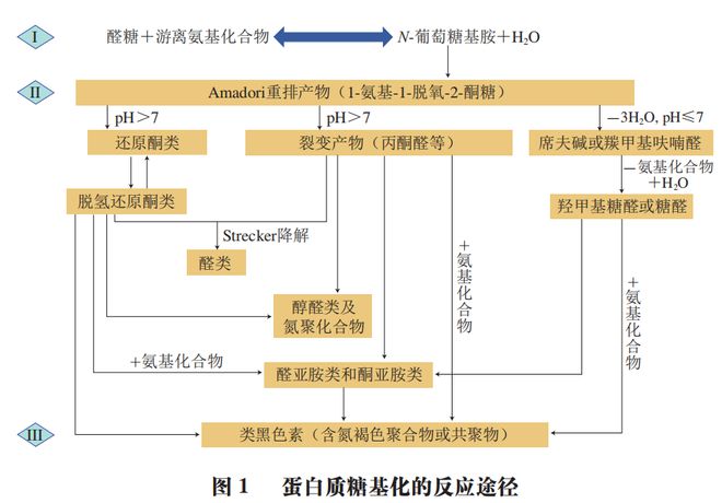 《食品科学》：南昌大学李欣教授等：糖基化对乳制品加工性能及致敏性影响的研究进展(图3)