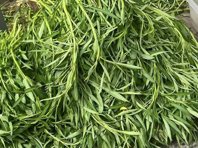 重金属超标南宁超爱的ong菜成“最毒绿叶菜”？真相是……(图3)