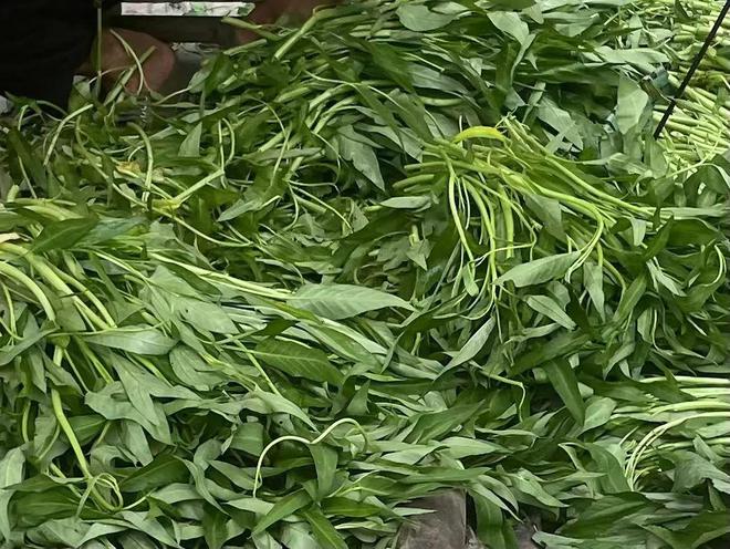 重金属超标南宁超爱的ong菜成“最毒绿叶菜”？真相是……(图2)