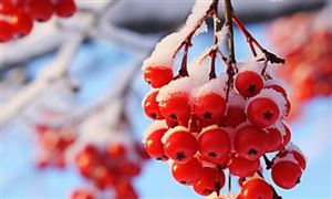 贵金属加工行业分析贵金属加工行业将朝着科技化、自动化、集约绿色化发展(图6)