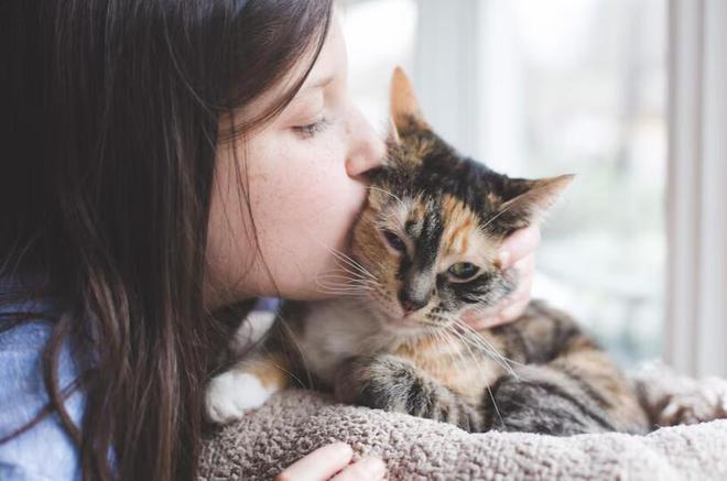 为什么市面上的金属猫爬架越来越少？(图2)