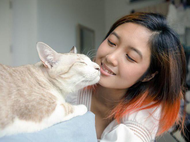 为什么市面上的金属猫爬架越来越少？(图3)