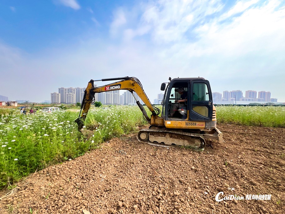 投资4亿元！蔡甸这一现代化车间开工建设(图4)