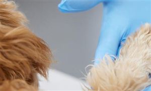 2022年金属加工行业发展前景方向及市场规模分析(图2)