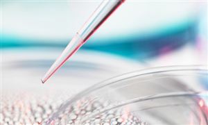 金属制品行业市场现状及发展趋势分析2023(图6)