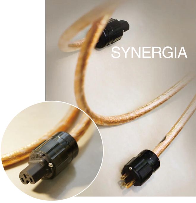 黄金质感钻石光芒——瑞宝SYNERGIA 最新“金钻”旗舰电源线(图4)