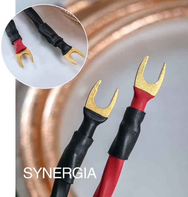 黄金质感钻石光芒——瑞宝SYNERGIA 最新“金钻”旗舰电源线(图11)