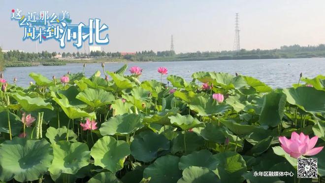 区政府主要领导督导检查大气污染防治工作•实地调研工业企业生产经营情况•一线督导防汛备汛工作(图4)
