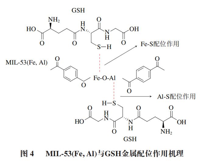 《食品科学》：大连海洋大学周慧博士等：金属有机框架材料在水产品安全检测中的应用研究进展(图6)