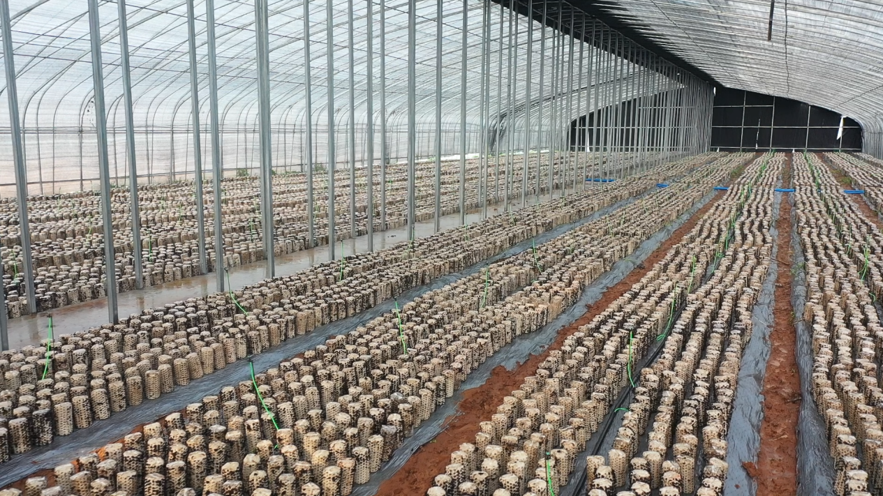 山西垣曲奏响发展最强音(图2)