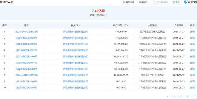 ST新纶被执行417315元今年以来已被执行多次涉及广东江苏湖北等地(图1)