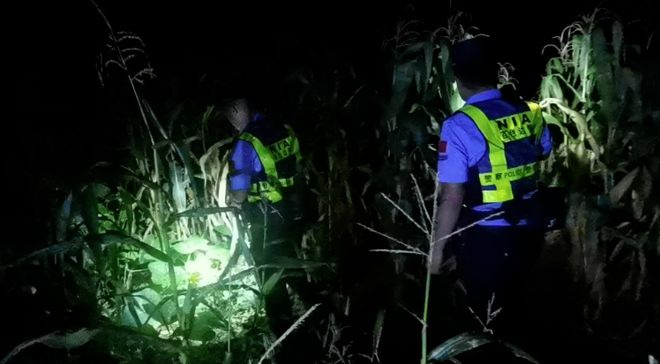 广西边境玉米地惊现88只大龙虾！民警夜查发现异常(图1)