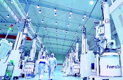 宁夏蹚出新路子培育“金娃娃”(图4)