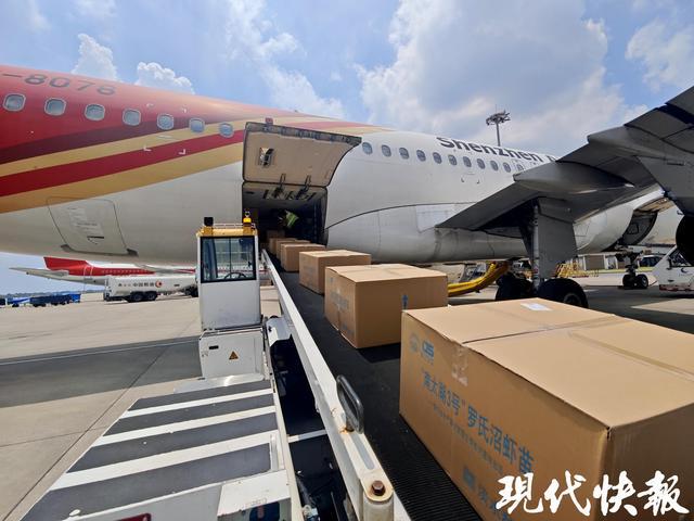 机场监装监卸员：碰到金属就可能被烫伤(图9)