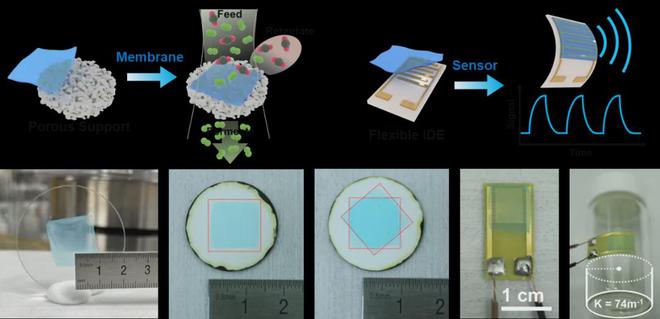 浙江大学Science！中国科学院金属所Science！(图5)