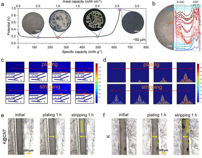 湖南大学《ACSEnergyLetters》打破界限！超薄钾-碳复合负极助力无枝晶、高倍率的钾金属电池(图4)