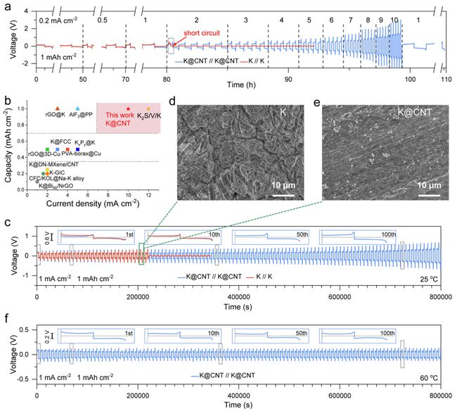 湖南大学《ACSEnergyLetters》打破界限！超薄钾-碳复合负极助力无枝晶、高倍率的钾金属电池(图3)