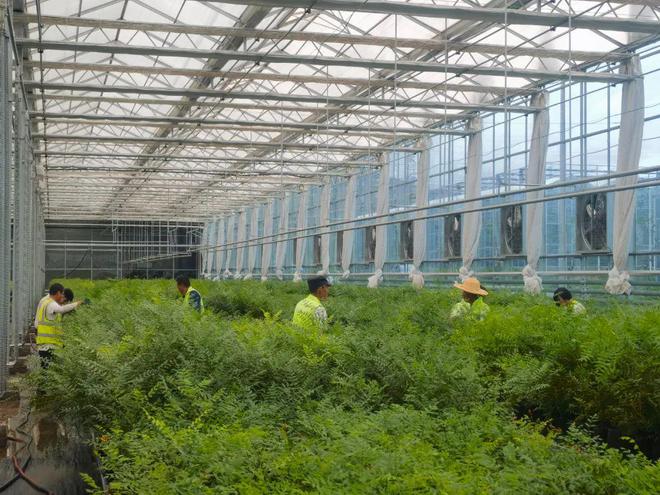 致敬2024白银翘首2025(图10)