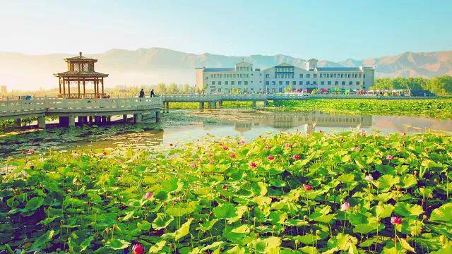 致敬2024白银翘首2025(图13)