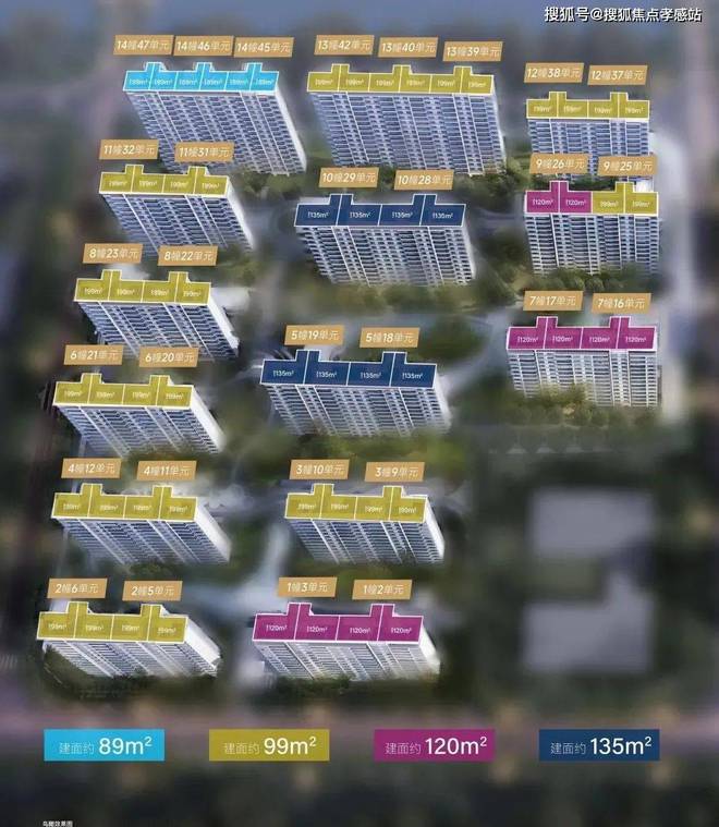 大华星曜（网站）大华星曜2025最新发布-网易房天下(图7)