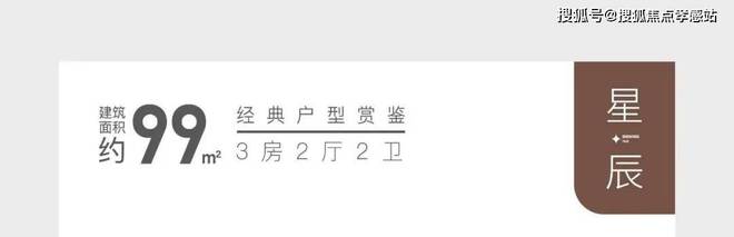 大华星曜（网站）大华星曜2025最新发布-网易房天下(图10)
