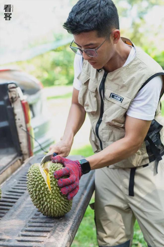 榴莲买手在马来西亚打响A果争夺战(图7)