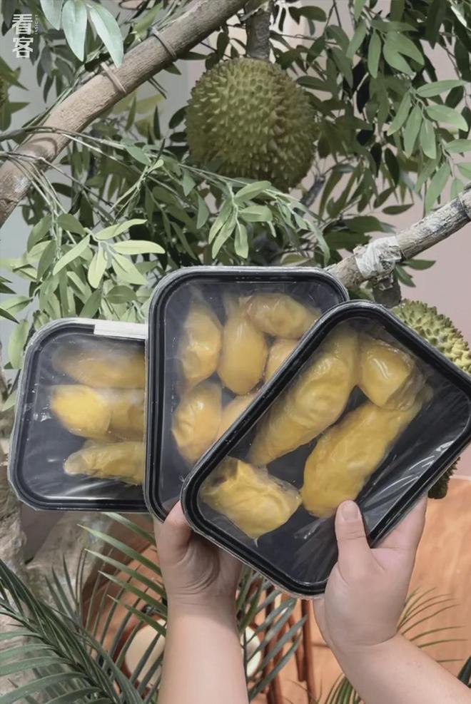 榴莲买手在马来西亚打响A果争夺战(图11)