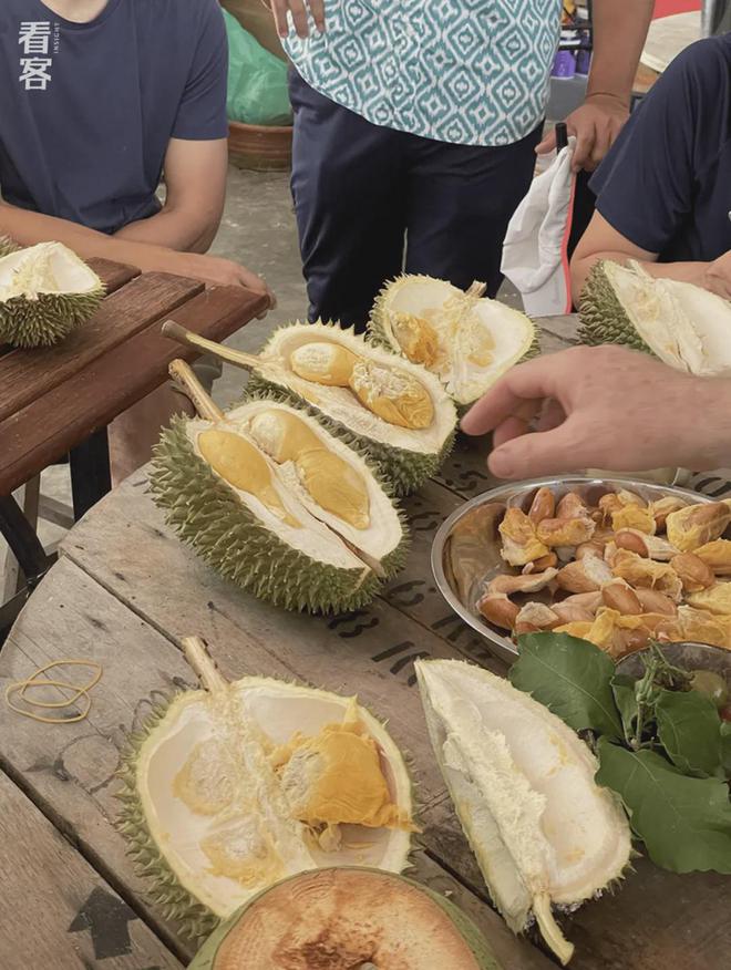 榴莲买手在马来西亚打响A果争夺战(图10)