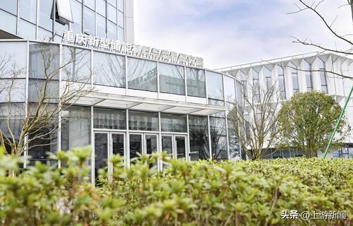 先进材料“领跑者”⑤｜连续3年摘得国际镁协会“镁未来技术奖”重庆“镁”为何能超群出众(图2)