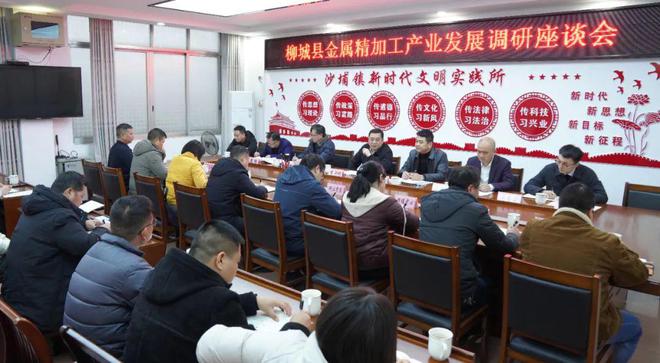 推动金属精加工产业发展壮大柳城就这么干！(图1)