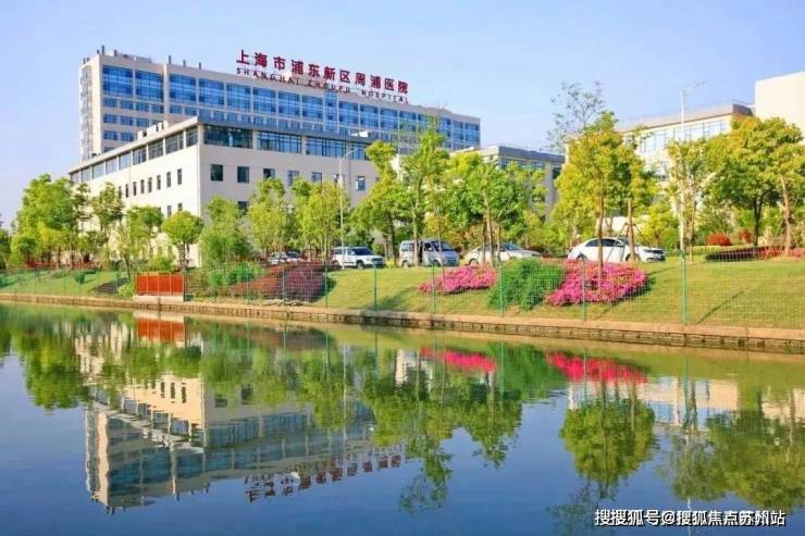 金桥碧云澧悦(碧云澧悦)2025首页网站楼盘最新详情(图11)