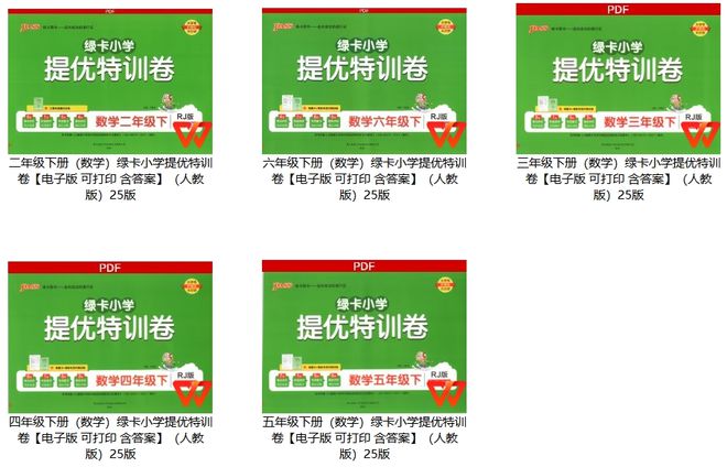 二到六年级下册（数学）绿卡小学提优特训卷【电子版可打印含答案】（人教版）25版(图1)