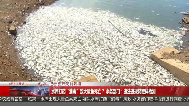 深夜无人机喷洒液体致海南一水库死鱼成片！(图1)