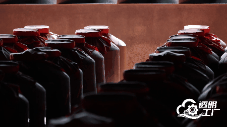 人民网“透明工厂”走进今世缘探秘白酒智造的“向新密码”(图4)