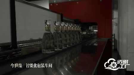 人民网“透明工厂”走进今世缘探秘白酒智造的“向新密码”(图5)