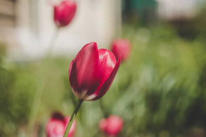 苦尽甘来！6月上旬不见烦恼赚钱有效率外出遇良人的3生肖(图2)