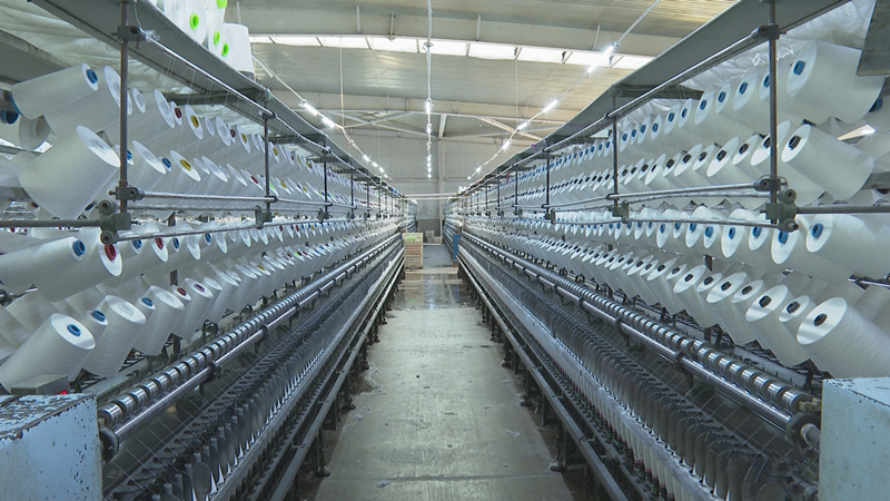 从制造到“智造”望奎县用创新驱动县域经济高质量发展(图2)