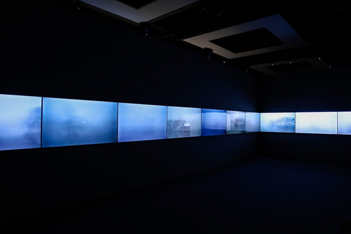 “美美与共：集——第60届威尼斯双年展中国馆作品展（上海站）”开幕(图7)